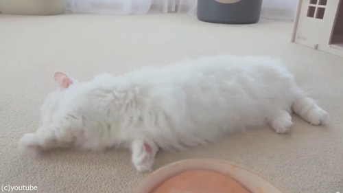 �ˤ����������ʥ�������ǭ06