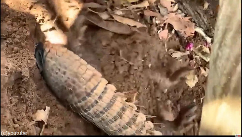 ����ޥ������ĸ�������ޤäƤ���04