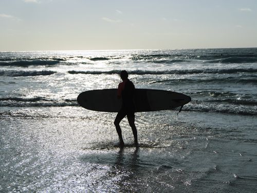 クレイジー・サーファー00