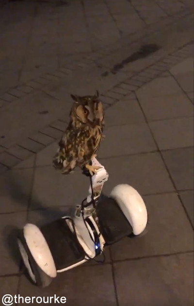 �������������ꤳ�ʤ��ե�����03