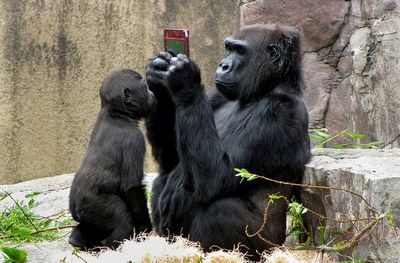 �ɥ󥭡����󥰤��ɥ󥭡�����03