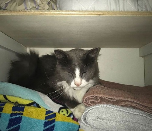 ����ť�������Τ�ǭ02