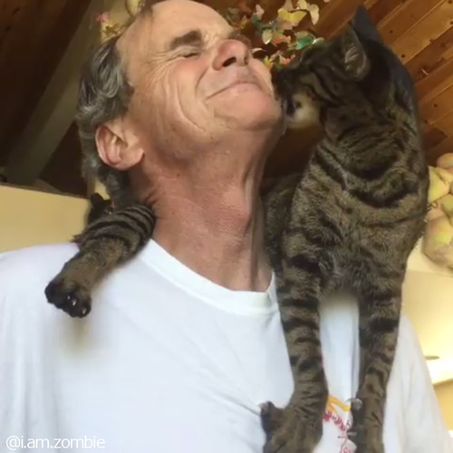 ����ʥޥե顼���ߤ���03