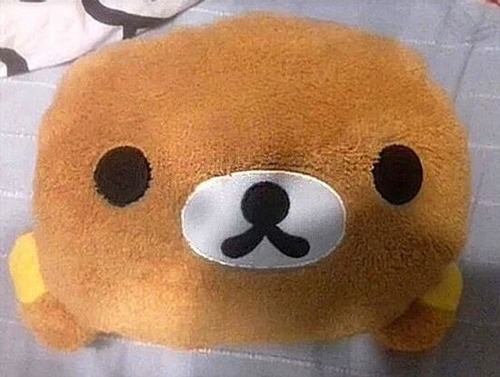 ������Υ��å��ޤΥ��å����01