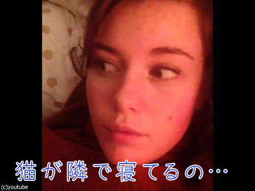 帰宅したら…見知らぬ猫がいる18