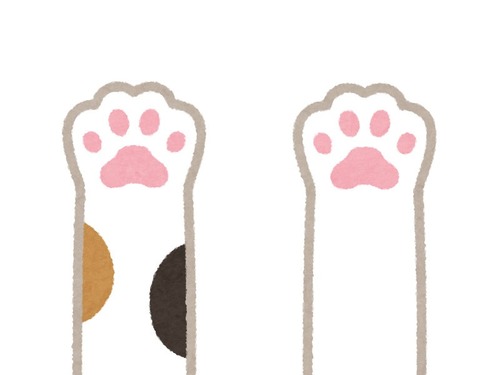 肉球を見せびらかす子猫00