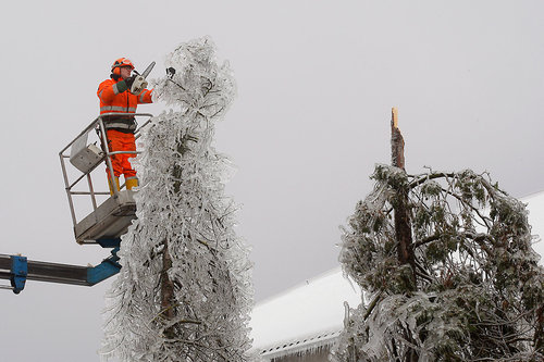 スロベニアの大寒波 009
