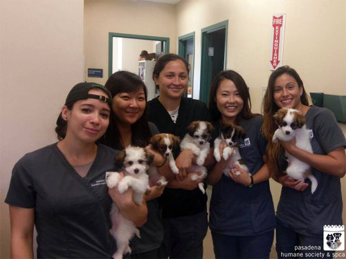 動物保護施設の募金箱にびっくり03