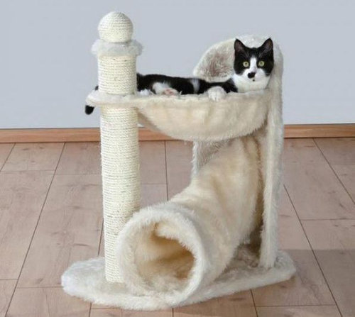 猫を飼った時の理想と現実21