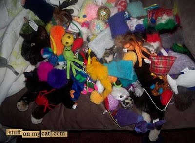 埋没する猫たち07