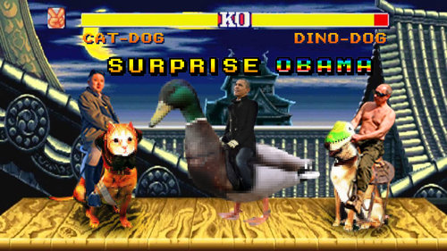 犬に猫マスク20