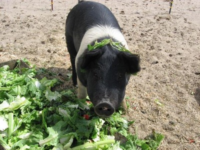 ��ڤ��١������01