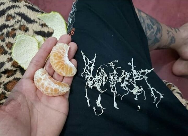 みかんを食べていたら ブラックメタルのバンドロゴを作ってしまった 偶然の産物がこちら らばq みかんを食べていたら ブラックメタルのバンドロゴを作ってしまった 偶然の産物がこちら らばq