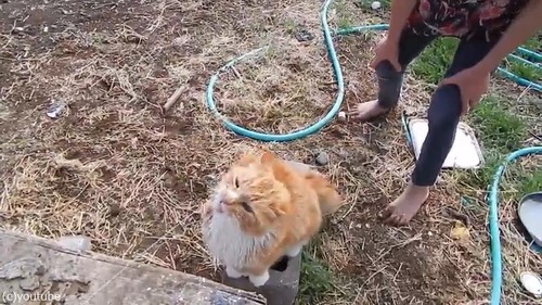 �䥮�Υߥ륯�κǹ�������ʰ�����03