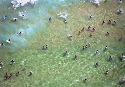 世界のビーチ17