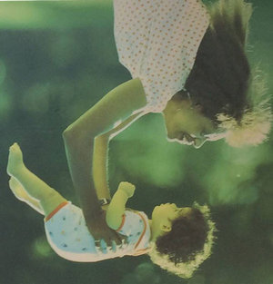 おかしなマクドナルドの写真03