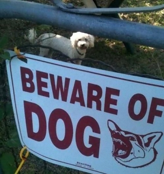 猛犬注意」の表示はあるけれど…何か間違ってると思う例いろいろ : らばQ