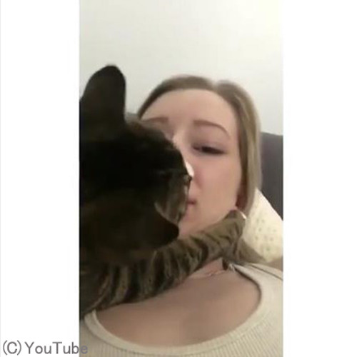 猫 タッチ し て くる 猫 タッチ し て くる