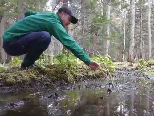 北海道の水たまり01