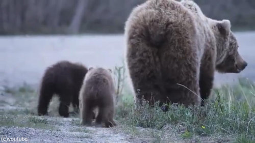 �ҥ��ޡ֤����ǡġ�07