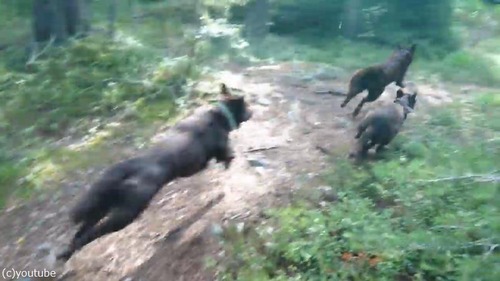 ���Ԥơפ����٤��ä��ۤɹ⤤��04