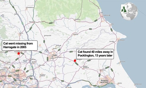 13ǯ���ȯ�����줿ǭ04