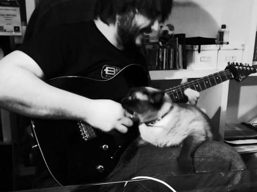 ギターを弾いてたらヒザに猫が乗ってきた01