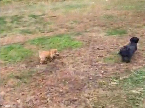 �����֤�����ɤ������ä�������ǥѥ���02