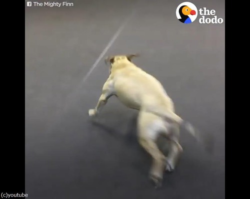 ピザが好きすぎて02