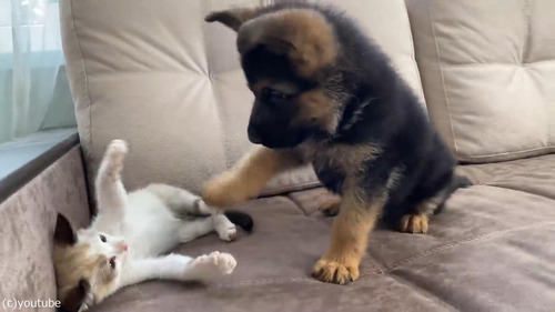 ��ǭ�ȻҸ��ȥ�ȥ�С�01