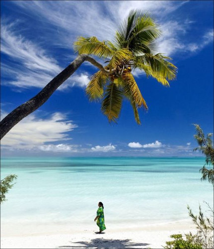 ニューカレドニアのモリ漁08