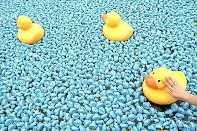 25万匹のおもちゃのアヒル04