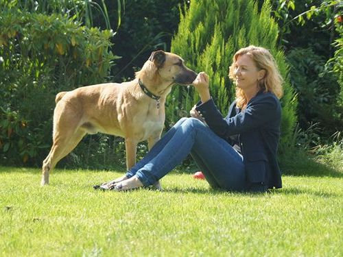 6か月もホテルの前で待ち続けた犬15