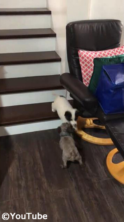 ���ʤ򲼤���ʤ��������뤪�Ф������05