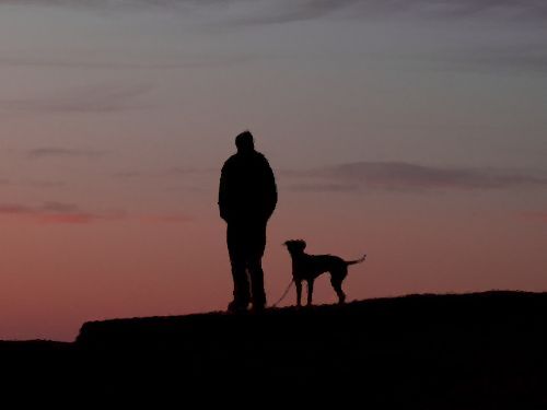 保護センターの前で泣く男性00