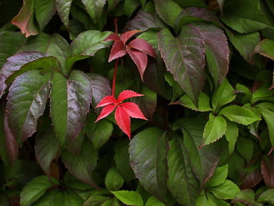 写真テクニック10