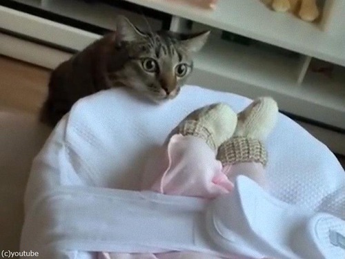 赤ちゃんと初対面00