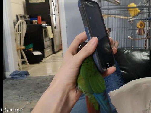 ���ޥۤȼ�δ֤����äƤ��륤��01