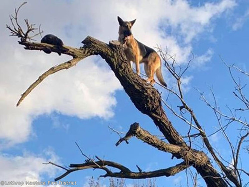 �����ѡ��ɤ��ڤ���ߤ���ʤ��ʤ�00