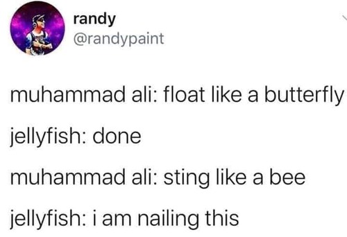 ��ϥ�ɡ���������ʪ������01