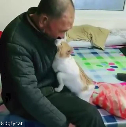 ǭ�Ȥ���������󡢤ȤäƤ����ɤ�02