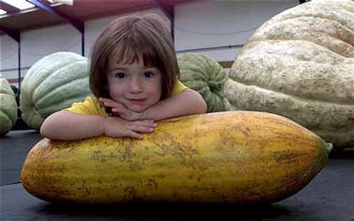 野菜コンテスト01