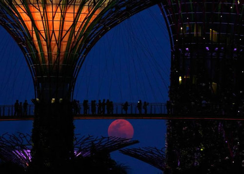 �����ѡ��ࡼ��09