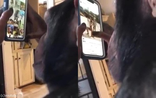 ���ޥۤ�Ȥ����ʤ�����ѥ󥸡�02