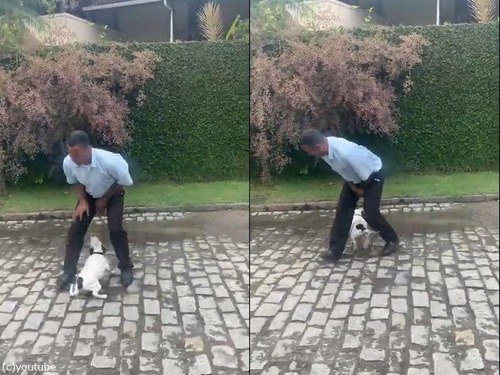 ���β��ǥݡ������᤿�������ä�������02