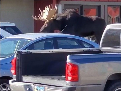 �إ饸����Ω������������05