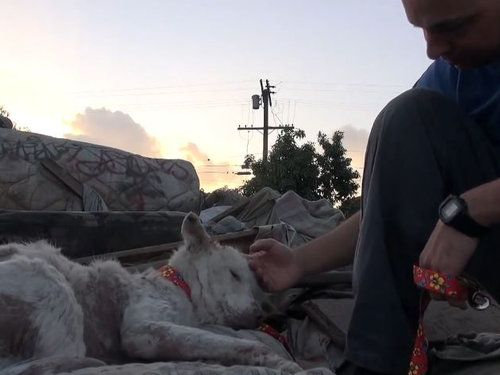 ���ߤλ�����餹�ۡ���쥹����߽�05