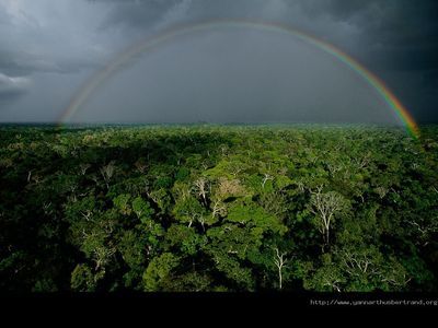 物の見方が変わる、世界中を見下ろした写真15