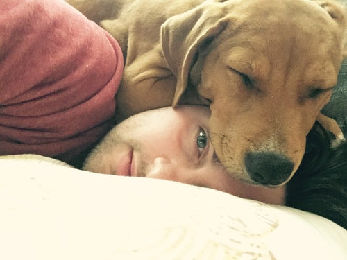 距離感が近い犬たち07