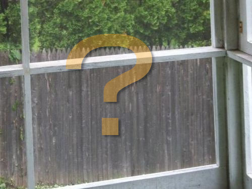 窓の外に鳥がいるときのうちの猫00